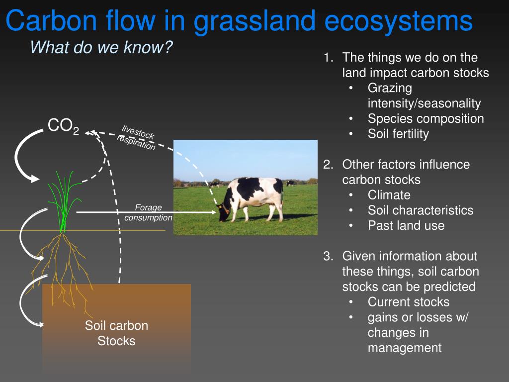 PPT Grassland Soil Carbon Stocks Status, Opportunities and