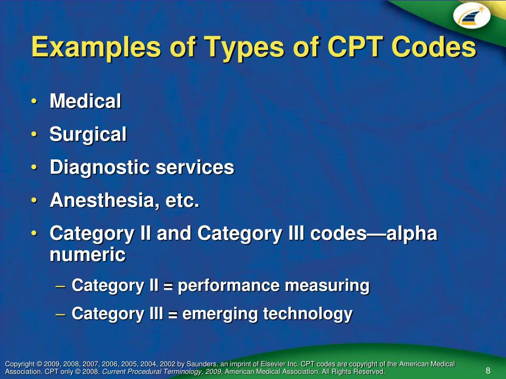 PPT CHAPTER 1 PowerPoint Presentation, free download ID5620863