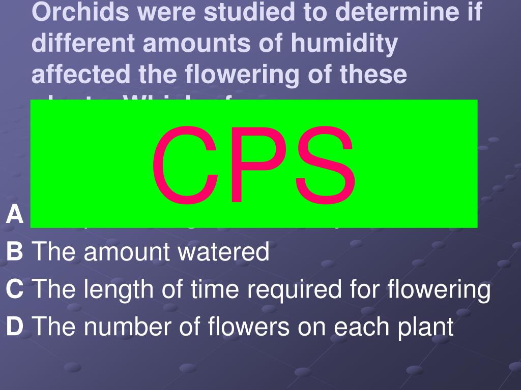 PPT Mushroomautotroph Humanheterotroph Grassheterotroph Fish