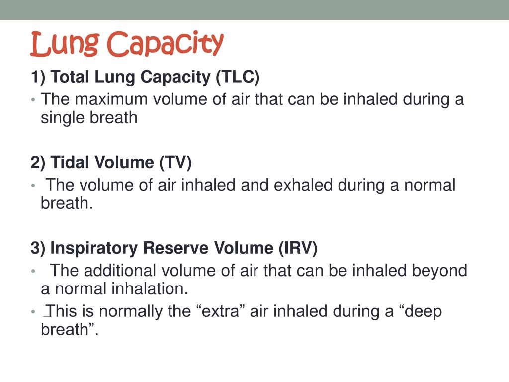 PPT The Respiratory System PowerPoint Presentation, free download