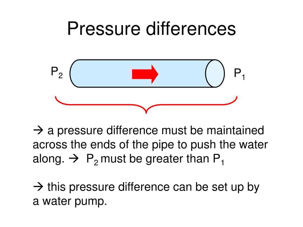 PPT L14 Fluids [3] PowerPoint Presentation, free download ID5631091