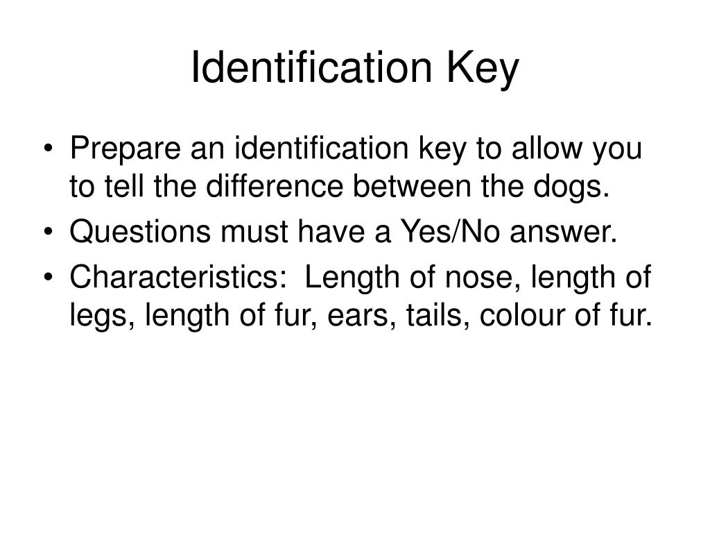 PPT Dogs PowerPoint Presentation, free download ID5631826
