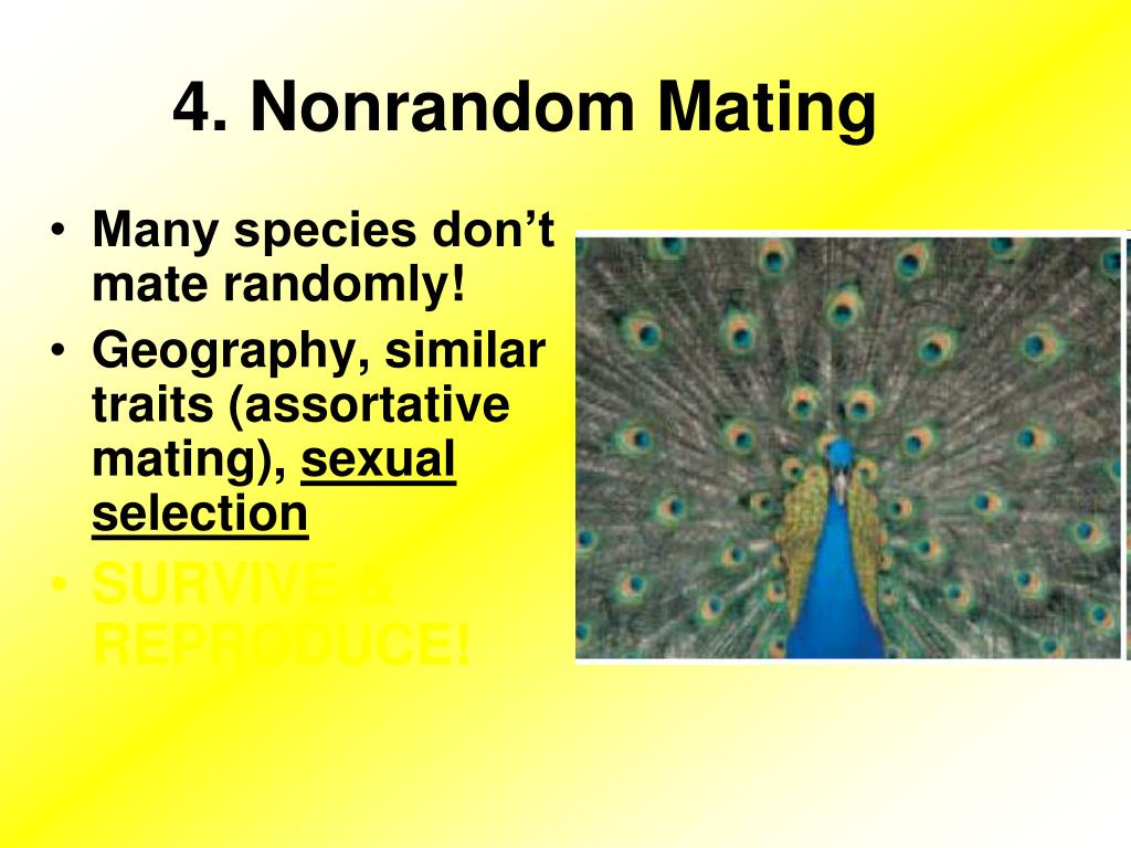 PPT Chapter 16 PowerPoint Presentation, free download ID5633313