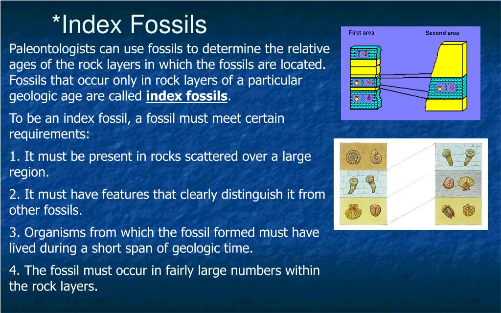 PPT Unit 5 Age of the Earth PowerPoint Presentation, free download