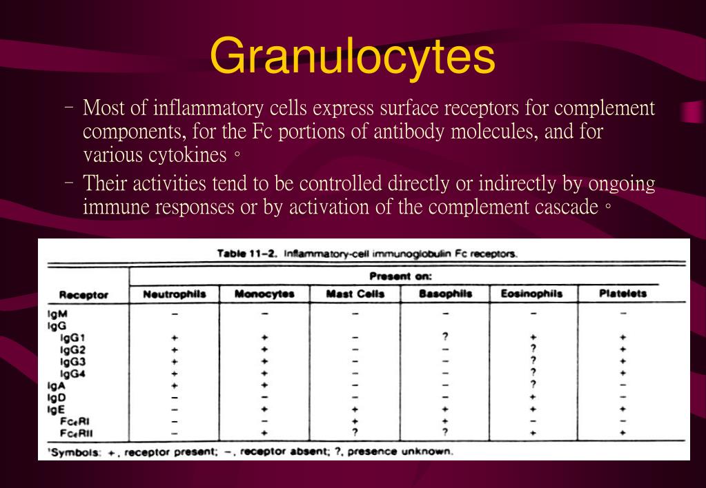 Reasons For Immature Granulocytes Ig And Absolute Normal