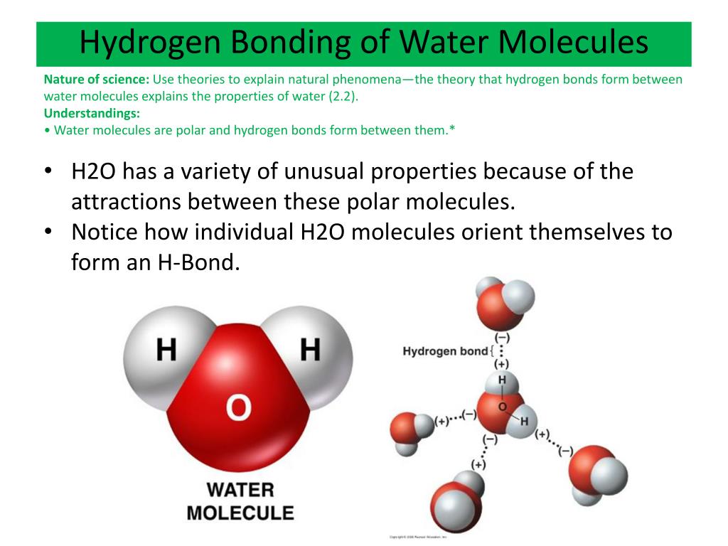 PPT Ch 3 The Polarity of Water and Its Properties PowerPoint