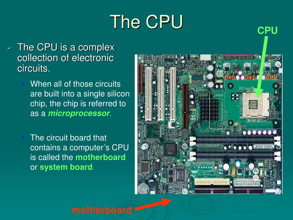 PPT Module 5 PowerPoint Presentation, free download ID5637192