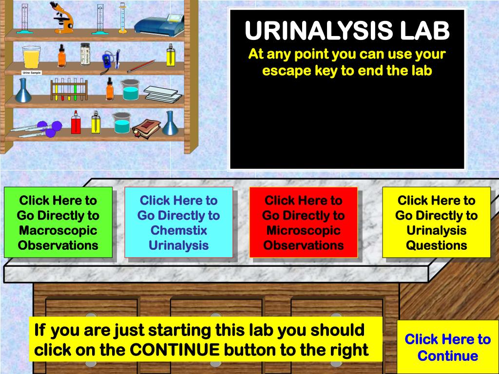 Urinalysis Lab Activity New Visions Science