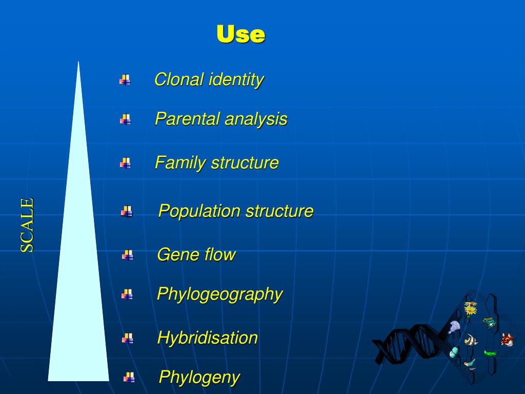 PPT MARKERS IN PLANT BREEDING PowerPoint Presentation, free