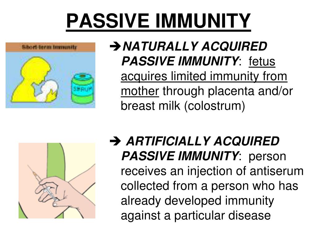 PPT NOTES CH 43, part 2 Immunity; Immune Disruptions (43.343.4