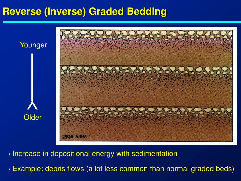 PPT Geology 3120 Sedimentary Structures PowerPoint Presentation
