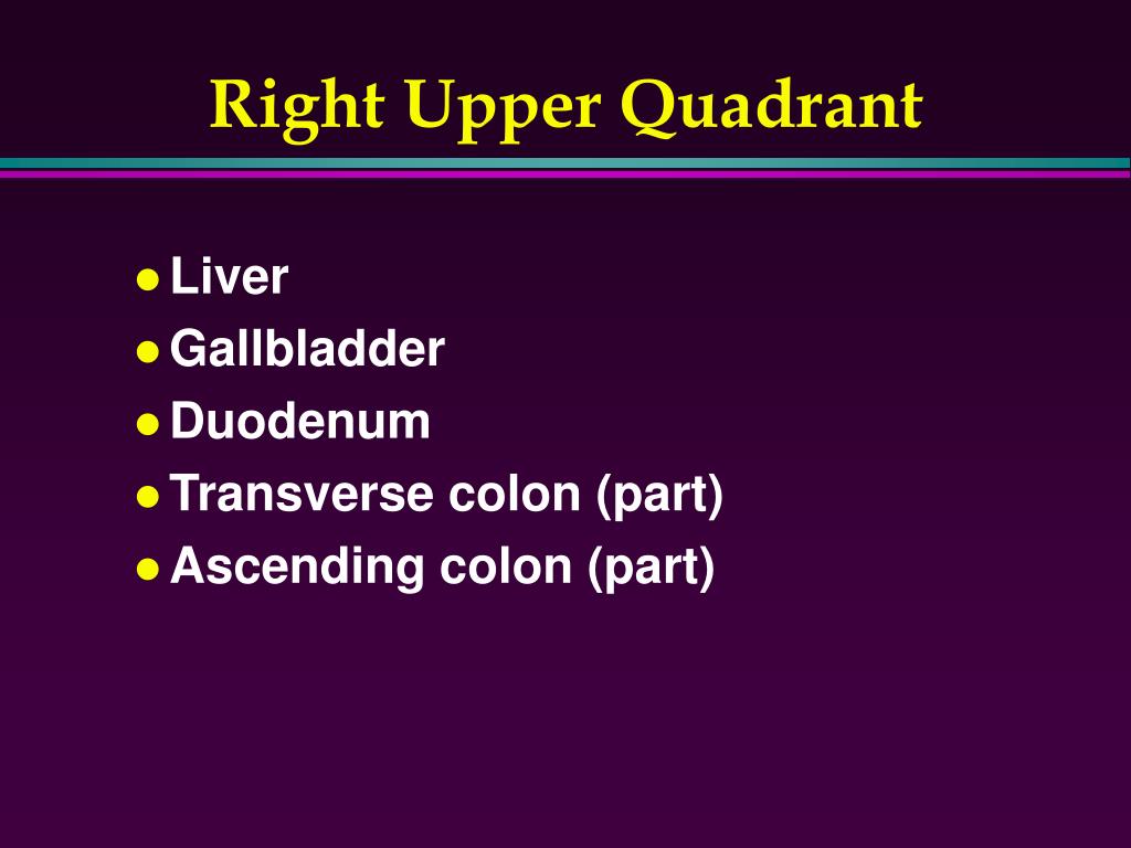 PPT Acute Abdomen PowerPoint Presentation ID5647110 PPT Acute Abdomen PowerPoint Presentation ID5647110