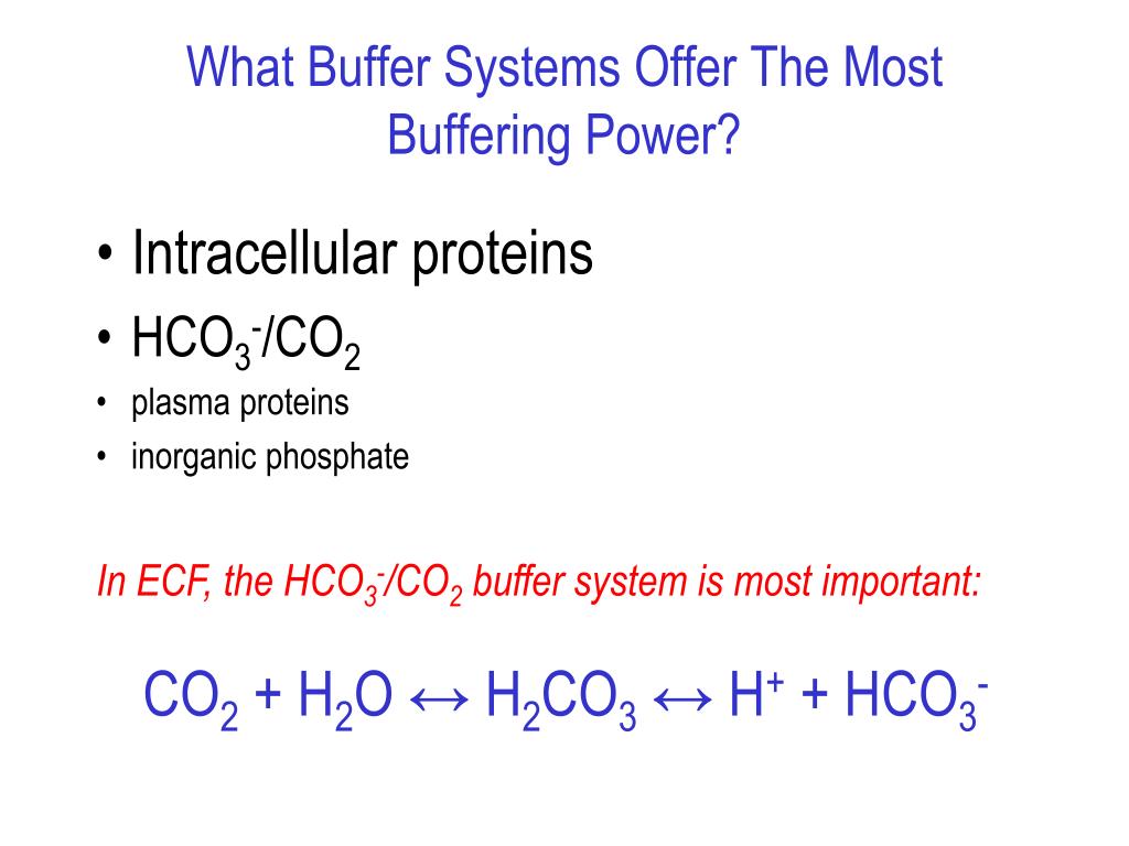 PPT AcidBase Physiology PowerPoint Presentation, free download ID