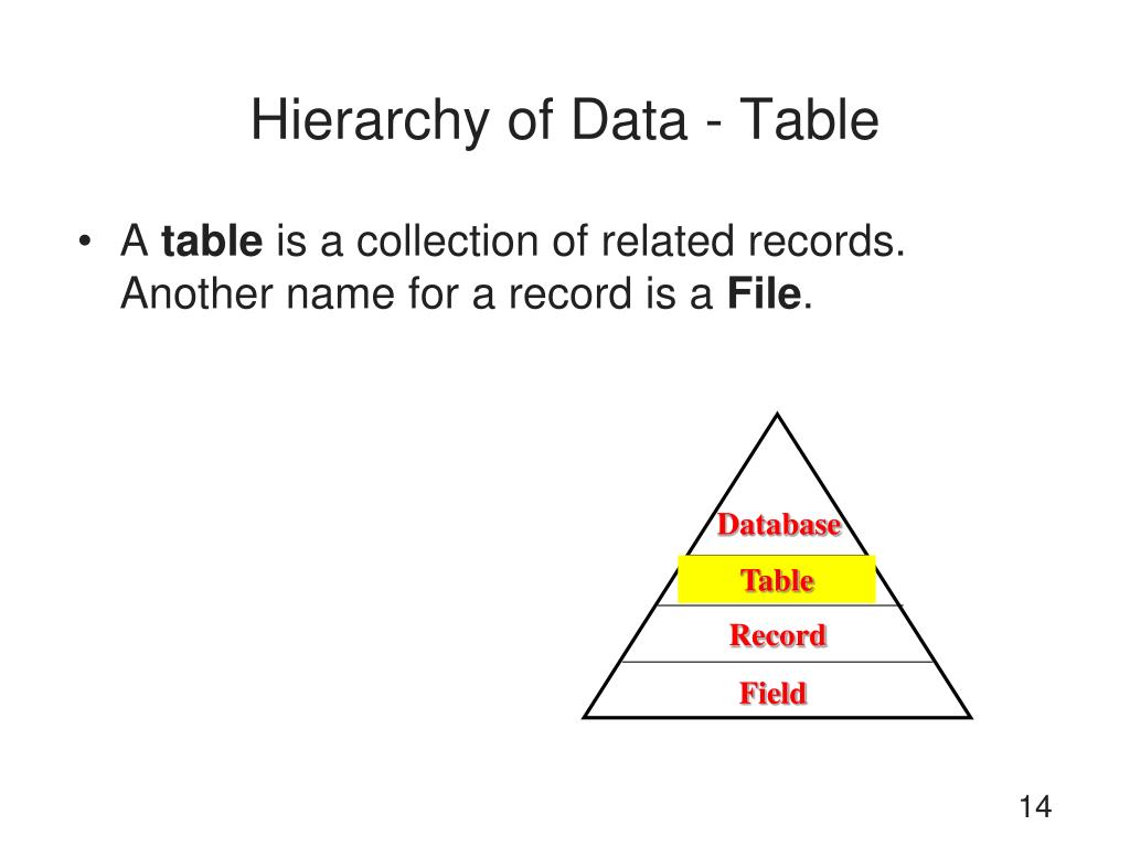 PPT Concepts of Database Management Seventh Edition PowerPoint