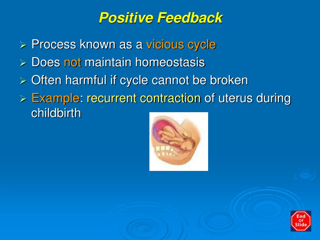 PPT Anatomy, Physiology and Disease PowerPoint Presentation, free