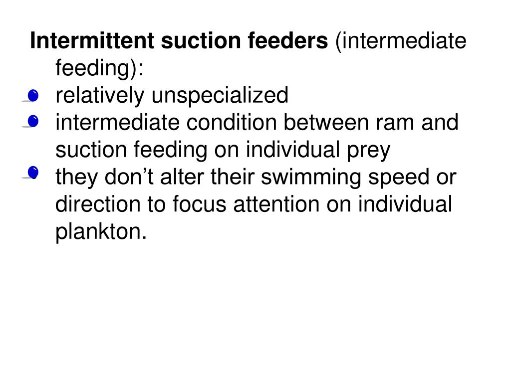 PPT Planktivory PowerPoint Presentation, free download ID5652355