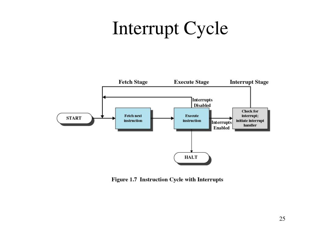 PPT Computer System Overview PowerPoint Presentation, free download