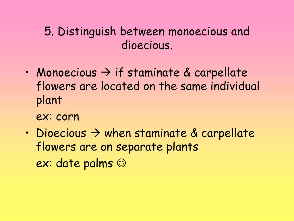 PPT Chapter 38 Reading Quiz PowerPoint Presentation, free download ID5655125