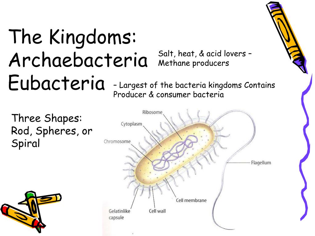 PPT The Six Kingdoms PowerPoint Presentation, free download ID5656374