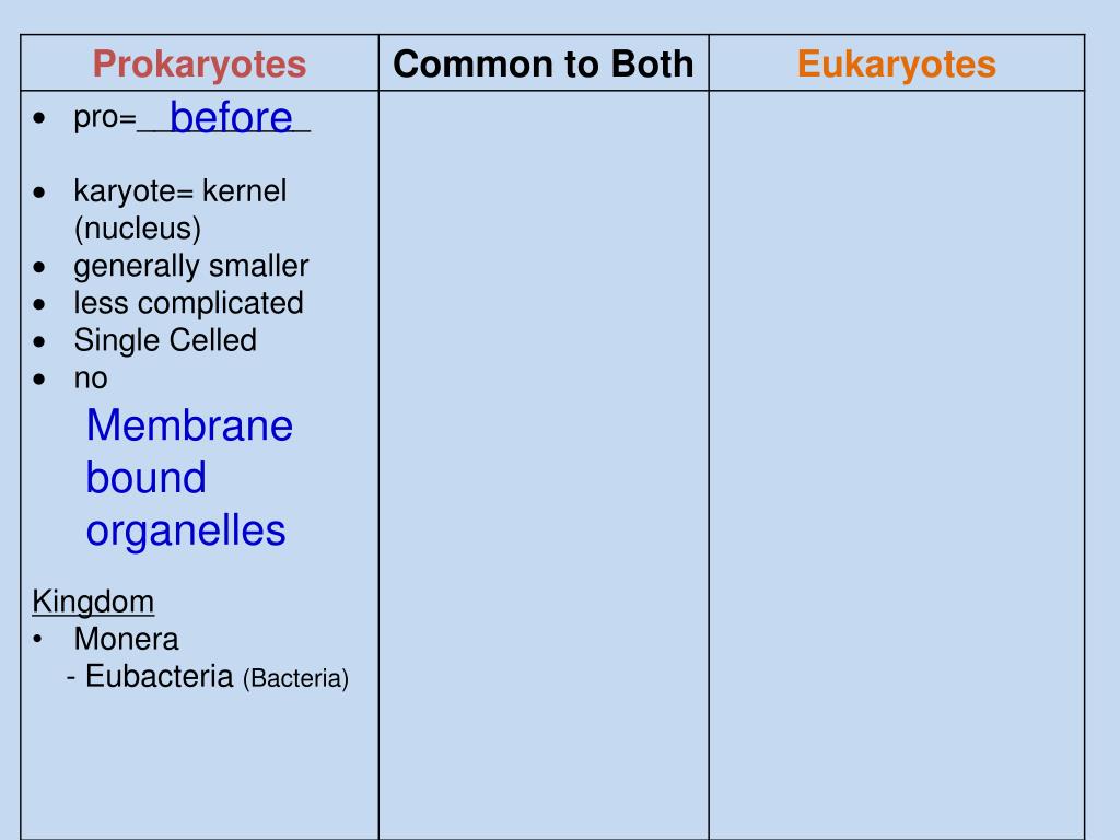 PPT CHAPTER 7 CELL STRUCTURE AND FUNCTION PowerPoint Presentation, free download ID5657196