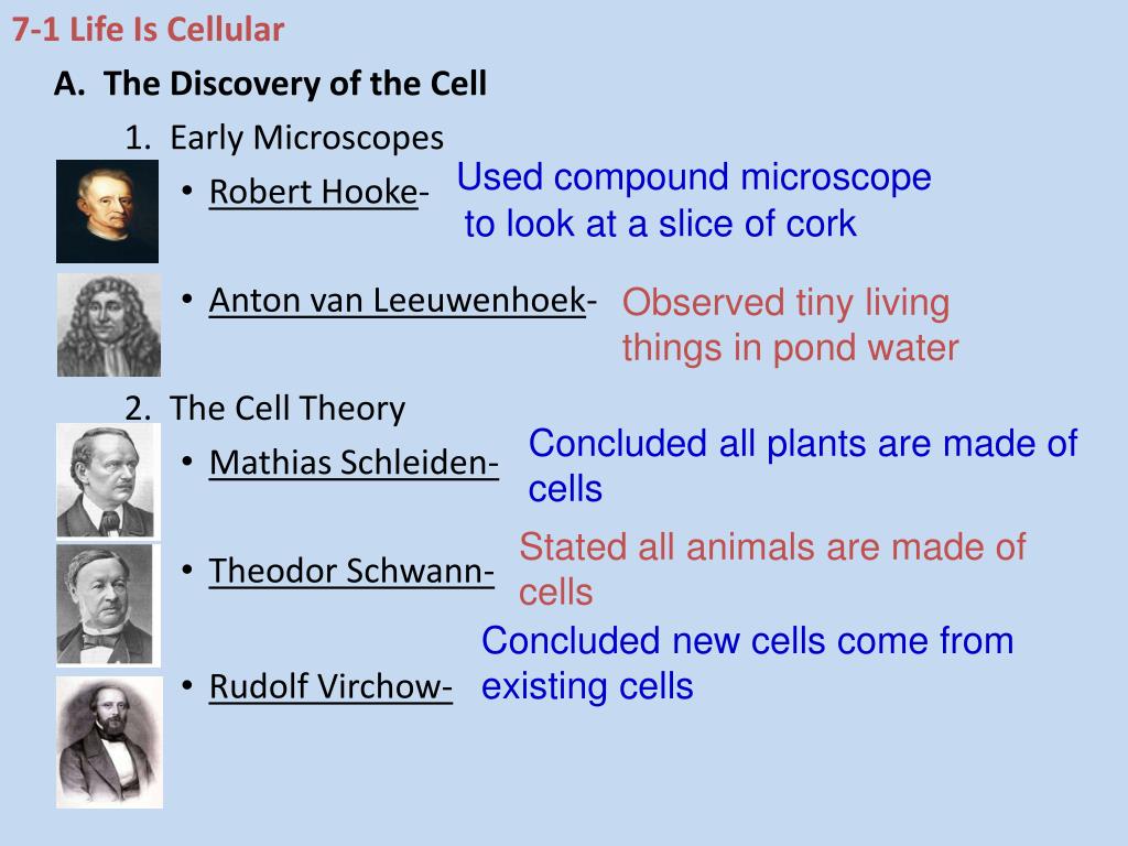 PPT CHAPTER 7 CELL STRUCTURE AND FUNCTION PowerPoint Presentation, free download ID5657196
