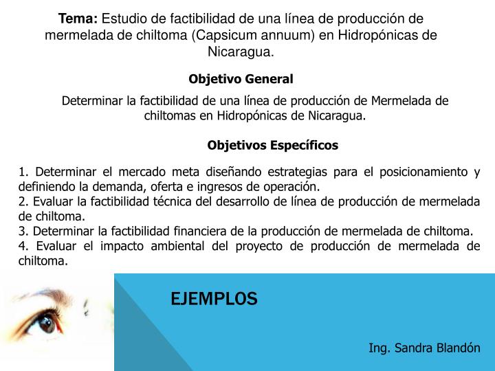 PPT Redacción de los Objetivos PowerPoint Presentation