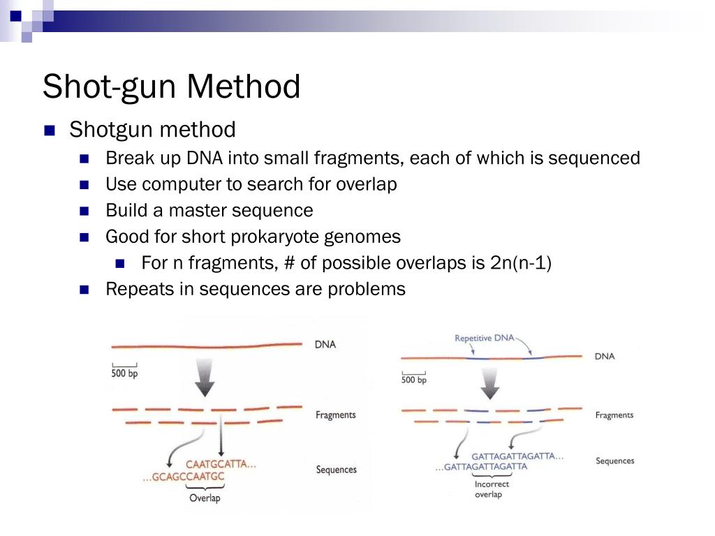 PPT Genomic Sequencing PowerPoint Presentation, free download ID