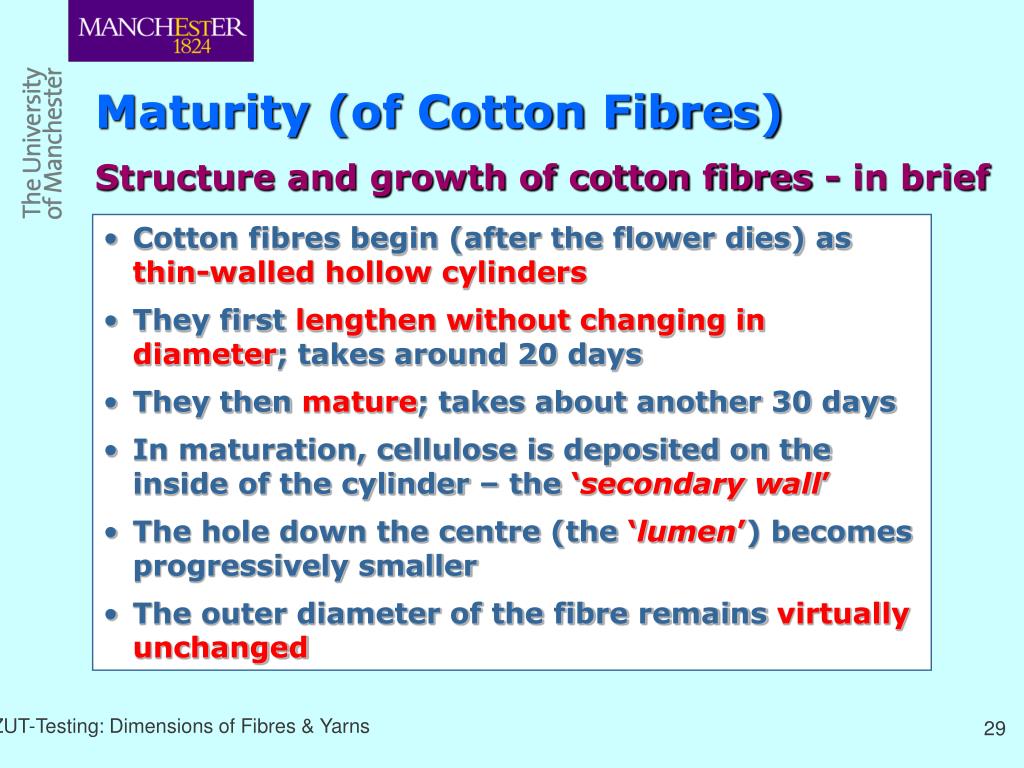 PPT Dimensions of Fibres & Yarns Basic Concepts, Units & Unit Systems Special Quantities