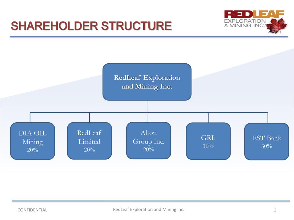PPT SHAREHOLDER STRUCTURE PowerPoint Presentation, free download ID