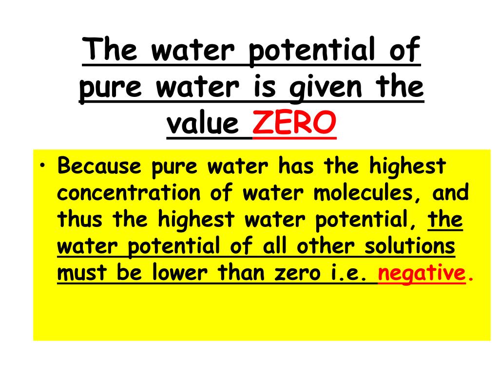 PPT What is Water Potential? PowerPoint Presentation, free download