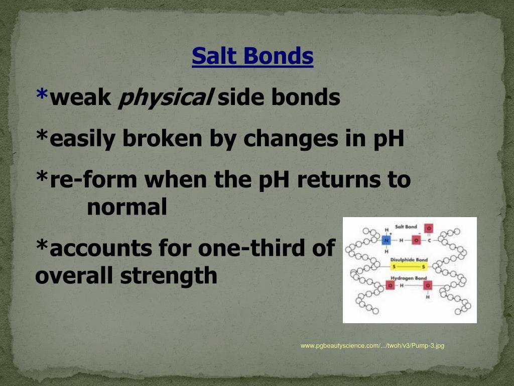 PPT Chapter 20 Chemical Texture Services PowerPoint Presentation