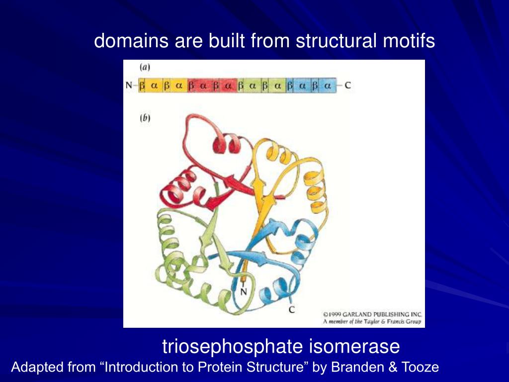 PPT Motifs of Protein Structure PowerPoint Presentation, free