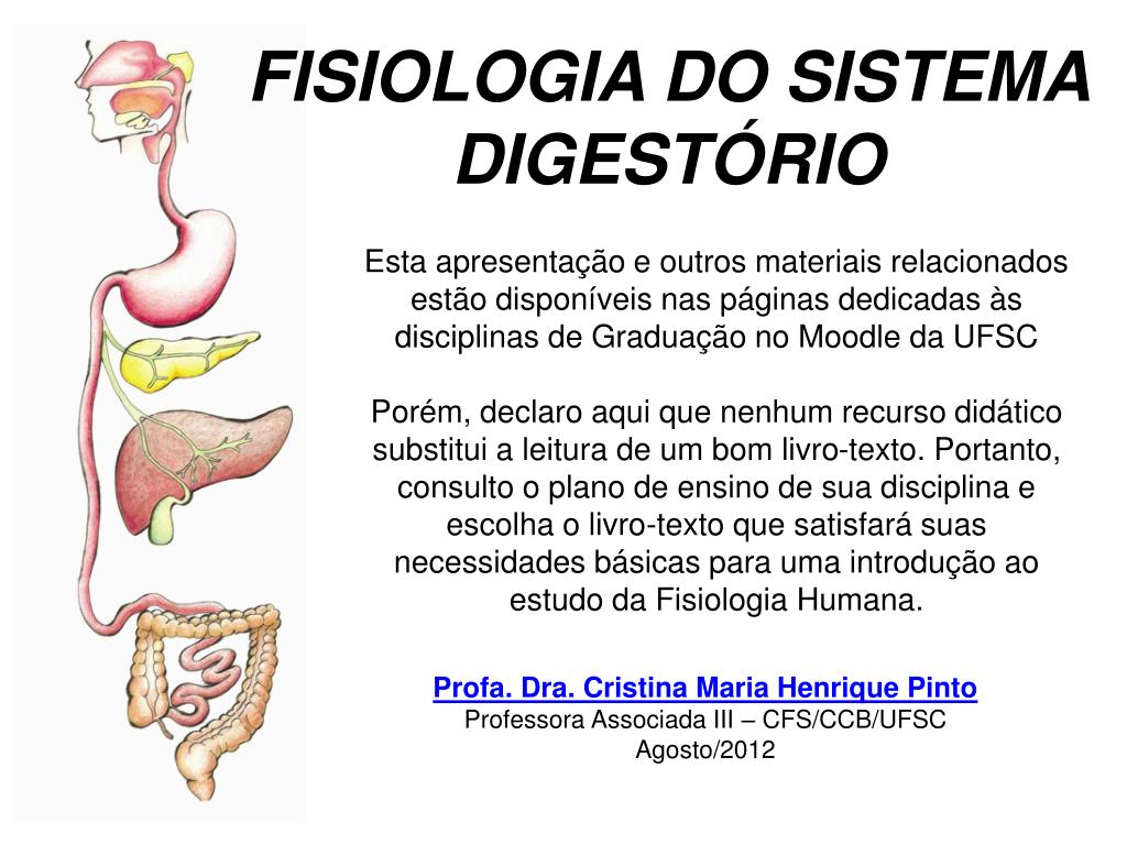 PPT FISIOLOGIA DO SISTEMA DIGESTÓRIO PowerPoint Presentation, free