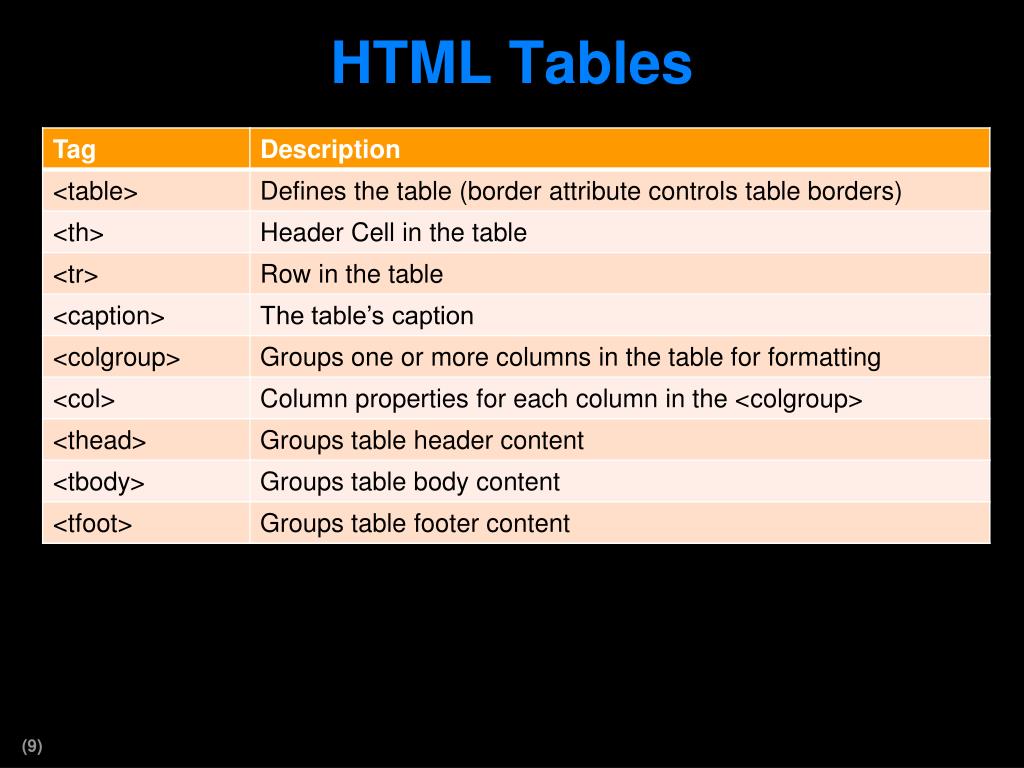 PPT HTML Basics PowerPoint Presentation, free download ID5681313
