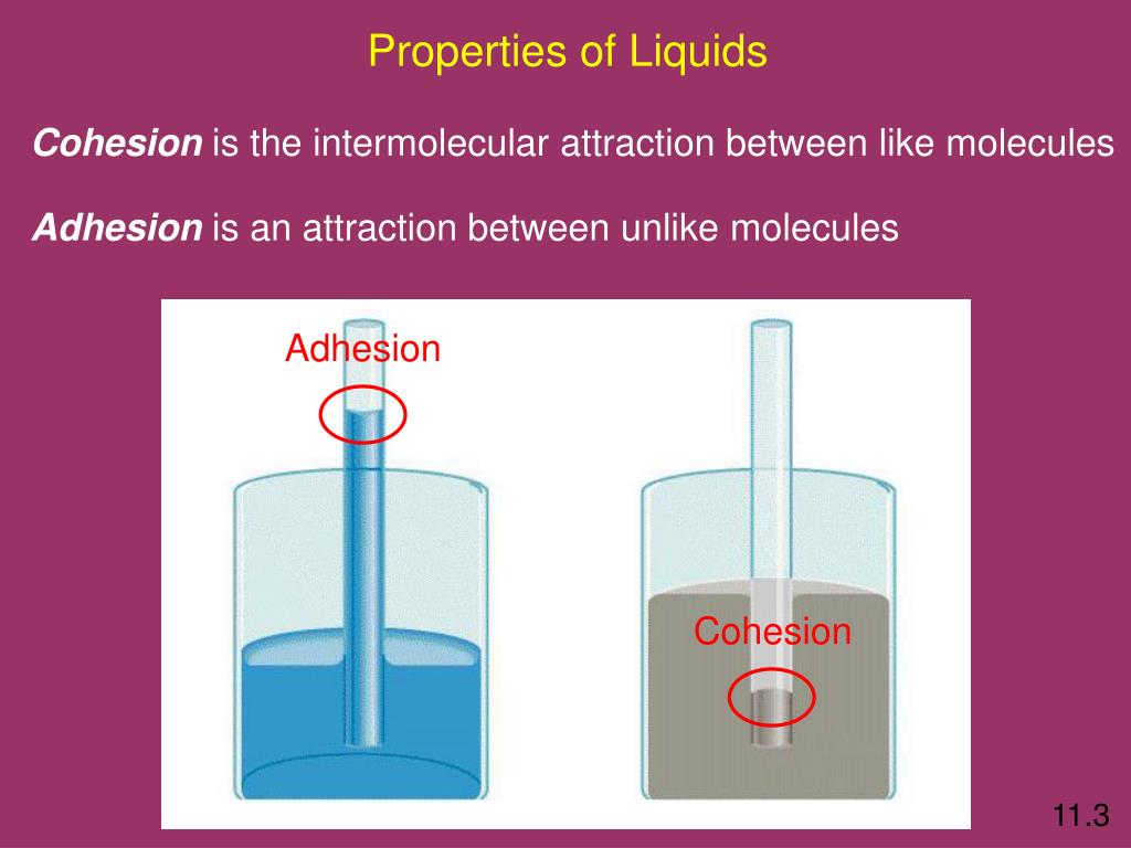 PPT Intermolecular Forces PowerPoint Presentation, free download ID