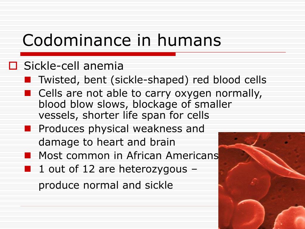 PPT Chapter 14 Human Genome PowerPoint Presentation, free download
