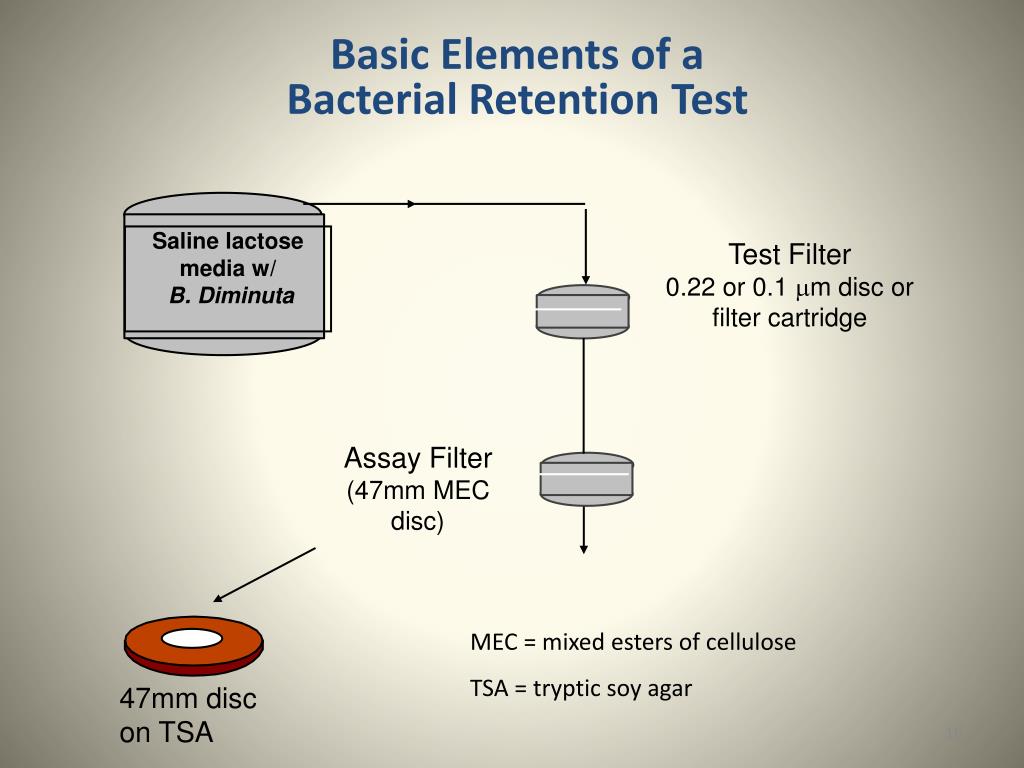 PPT BIOMAN 2011 CHO tPA Production System Downstream Processing