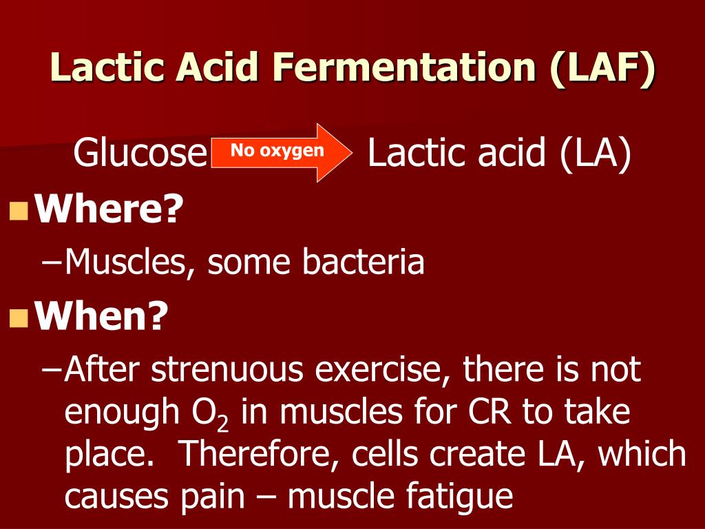 PPT Which factor makes water an effective solvent? A. The presence of