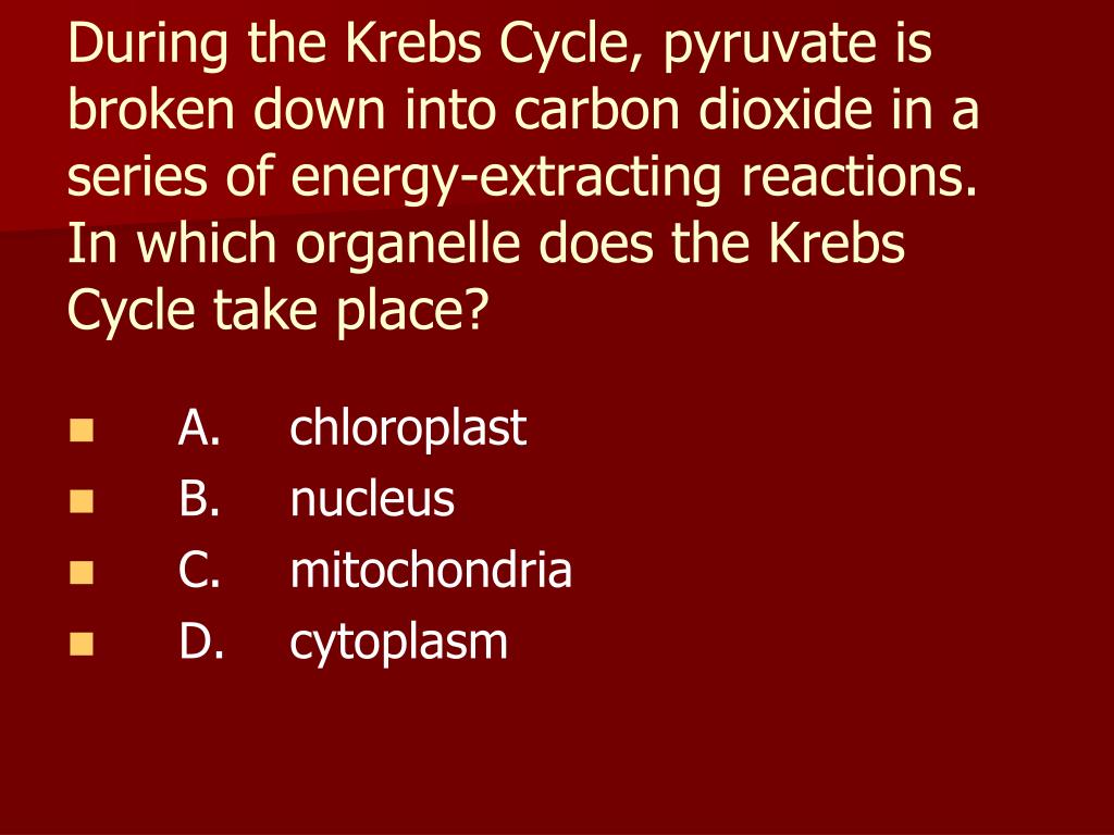 PPT Which factor makes water an effective solvent? A. The presence of