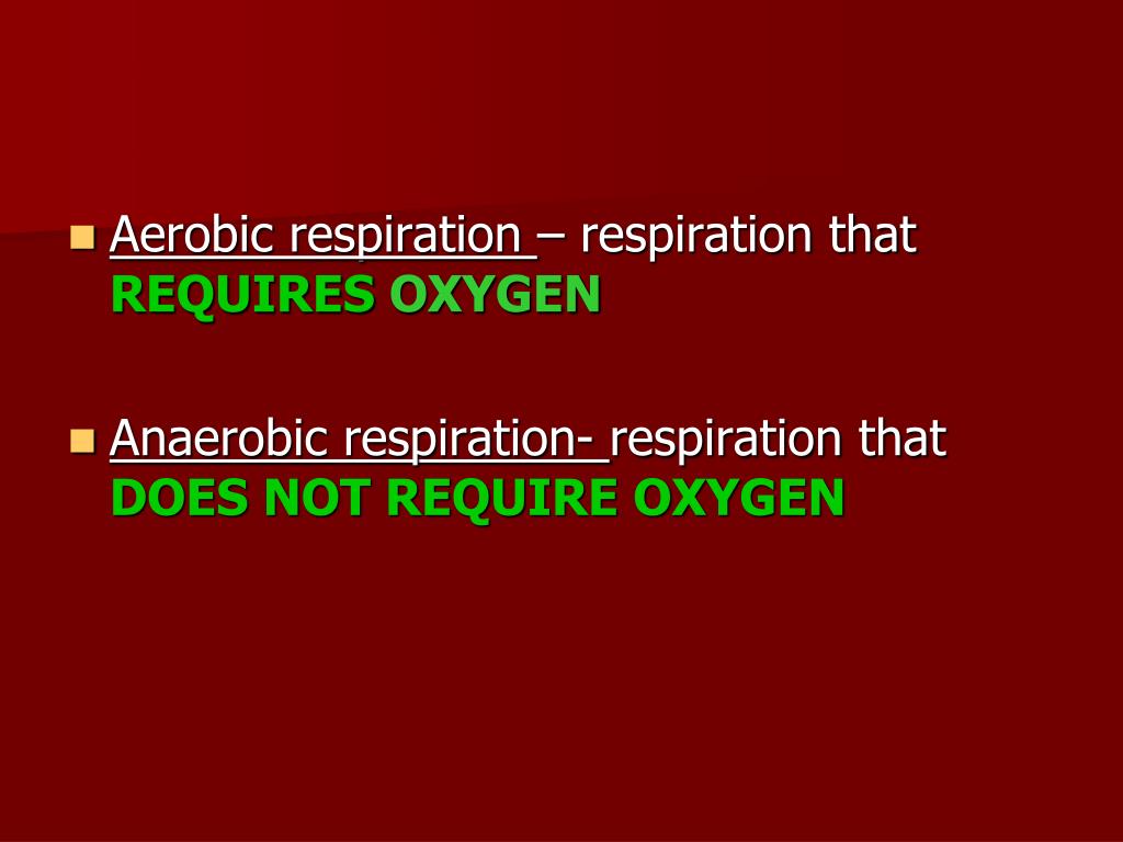 PPT Which factor makes water an effective solvent? A. The presence of