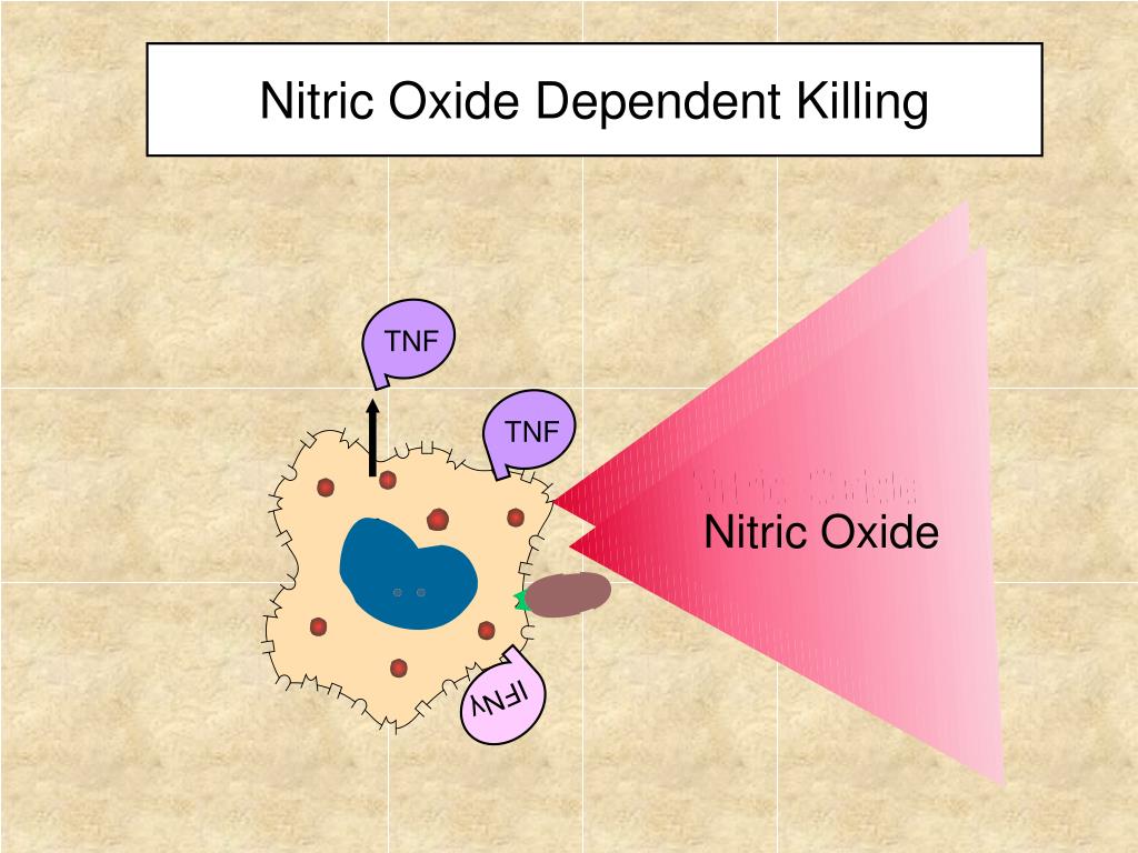 PPT Overview of the Immune System PowerPoint Presentation, free