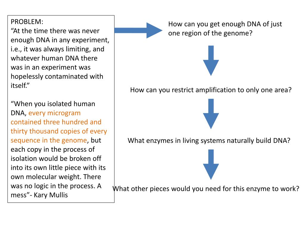 PPT PCR Polymerase Chain Reaction PowerPoint Presentation, free