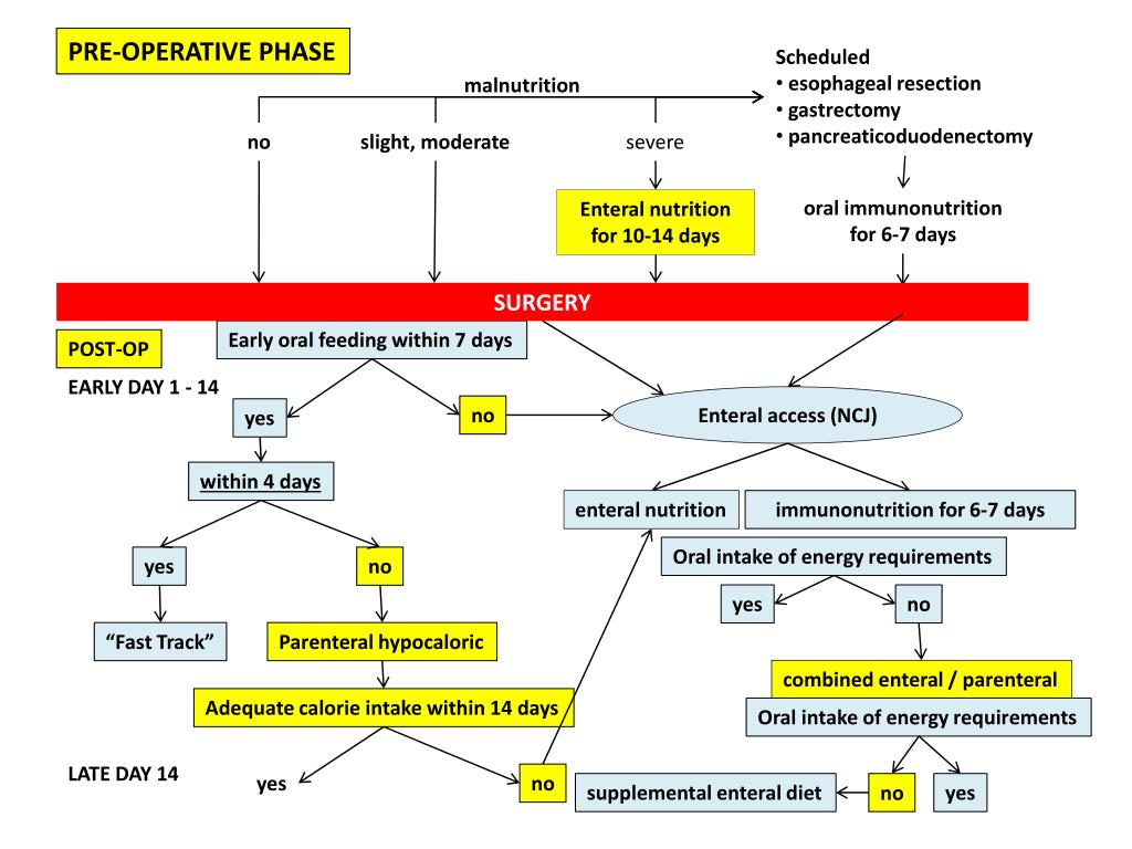 PPT Nutrition care plan for surgical patients PowerPoint Presentation