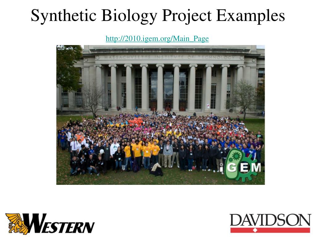 PPT Synthetic Biology Project Examples PowerPoint Presentation, free download ID5702174