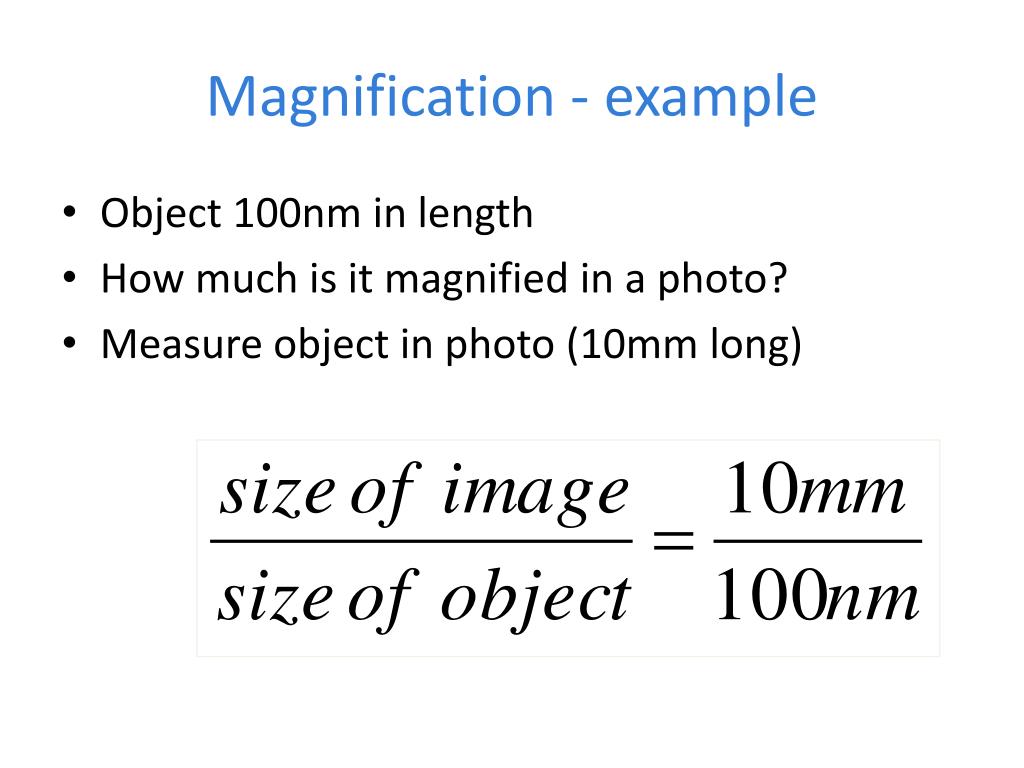 PPT Cell Structure PowerPoint Presentation, free download ID5704466