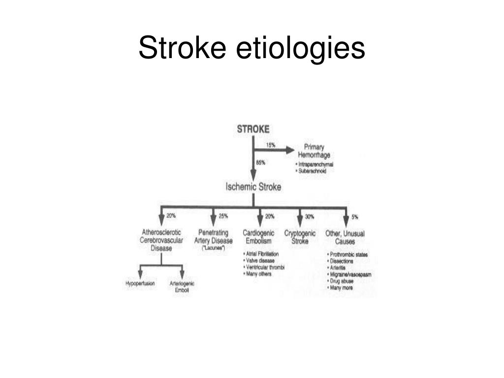 PPT Medical Management of Stroke PowerPoint Presentation, free download ID5704748