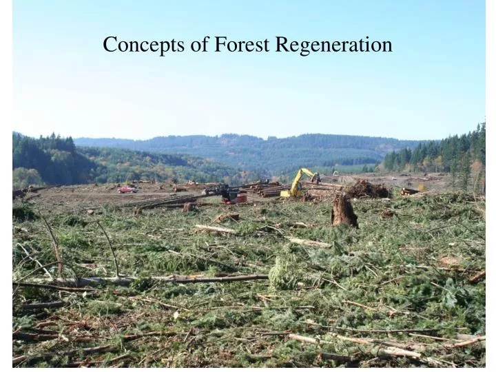PPT Concepts of Forest Regeneration PowerPoint Presentation, free