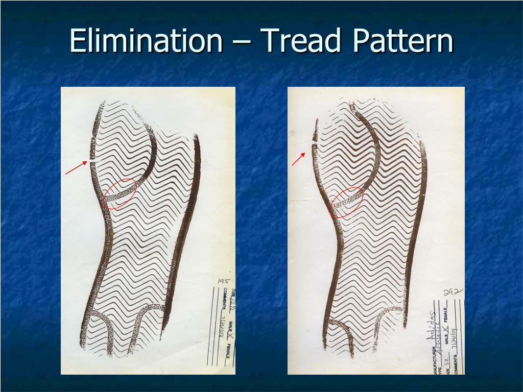 PPT Significance of Class Association of Shoe Prints PowerPoint Presentation ID5707384