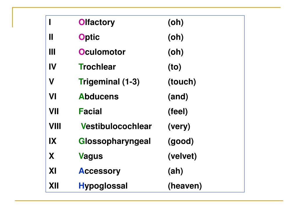PPT The Cranial Nerves PowerPoint Presentation, free download ID
