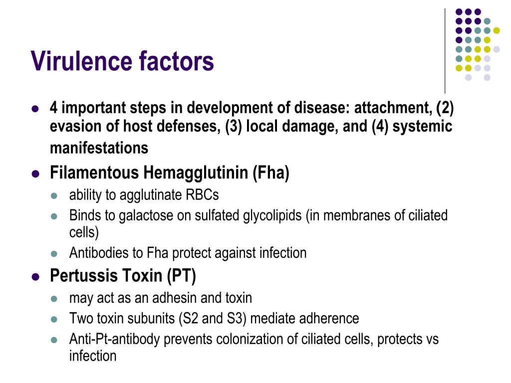 PPT Haemophilus , Brucella and Bordetella PowerPoint Presentation